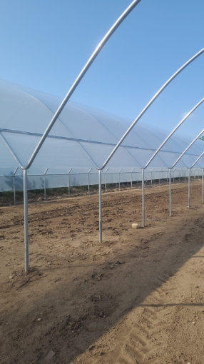 Poza cu Profil 40x40 tip H cu autosustinere si sarma plastifiata GEO