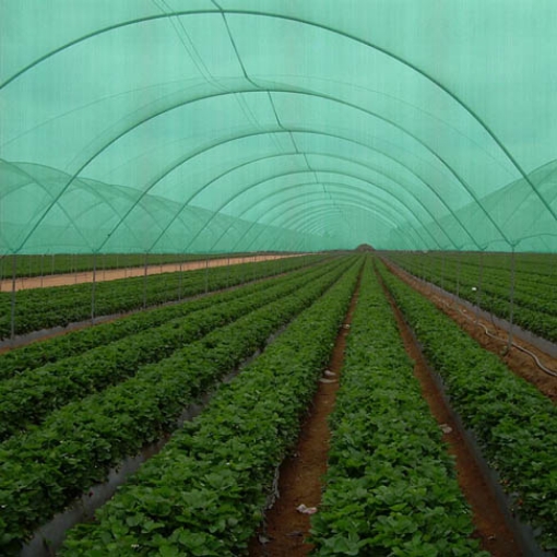 Poza cu Plasa de Umbrire GeoSol 70%