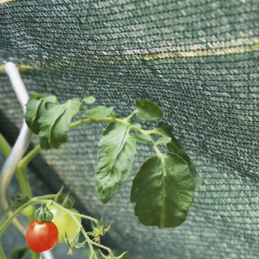 Poza pentru categoria Plasa de umbrire