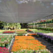 Poza cu Plasa de Umbrire GeoSol 70%