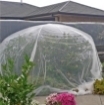 Poza cu Plasa  Anti Insecte GeoInsect20
