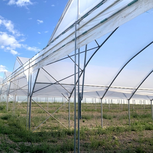 Poza cu FOLIE PLASTIKA KRITIS 180 MICRONI, 3809 UV, DIFUZA PREMIUM, EVA 16m